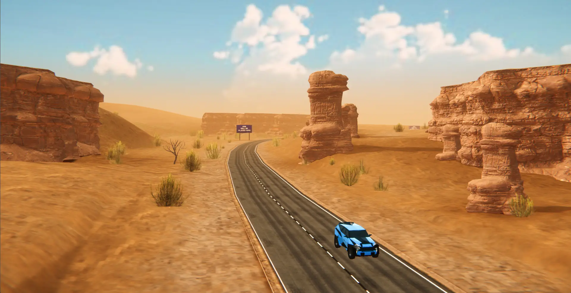 Desert Environment — original Capermint portfolio artwork