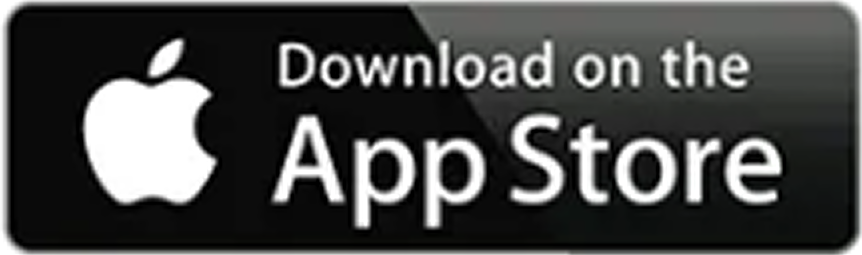 play_store_ico