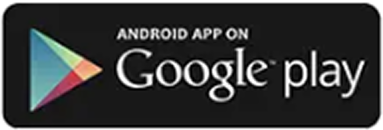 play_store_ico